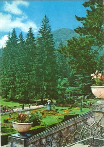 2096-1 - Slănic-Moldova. Vedere din parc